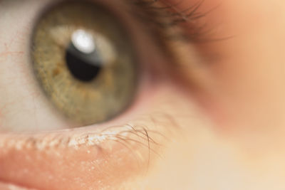 Close-up portrait of human eye