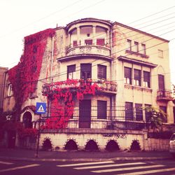 Low angle view of building