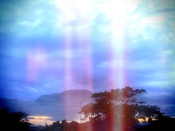 Rainbow over trees against sky