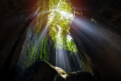 beauty in nature