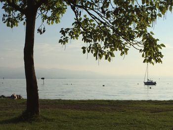 Scenic view of calm sea against clear sky