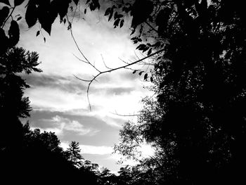 Low angle view of silhouette trees against sky