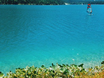 Scenic view of lake heiterwang