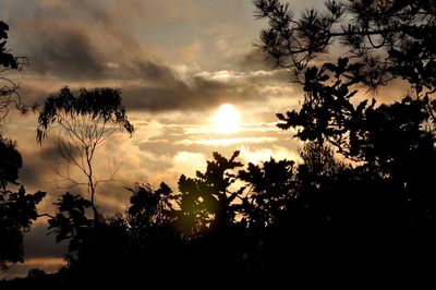 Silhouette trees against sky during sunset