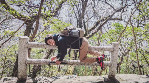 Man sitting by tree in forest