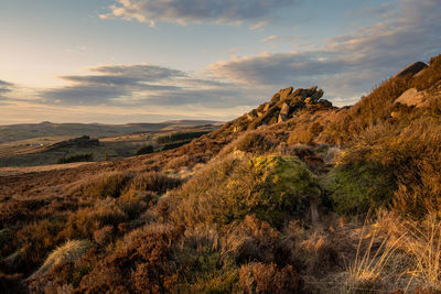 Scenic view of landscape against sky during sunset