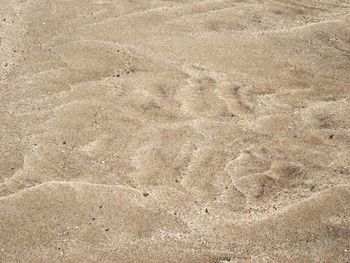 Full frame shot of sand