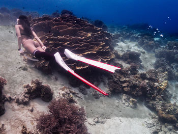 Freediving sexy girl