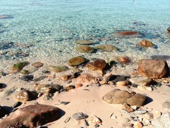 High angle view of crab on beach