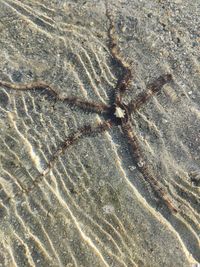 Full frame shot of a rock