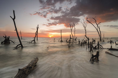 Scenic view of sea during sunset