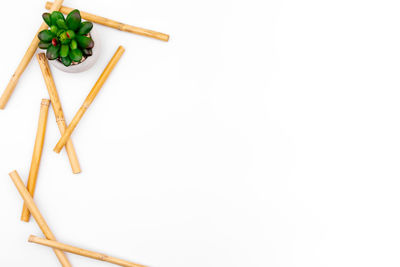 High angle view of toy on table against white background