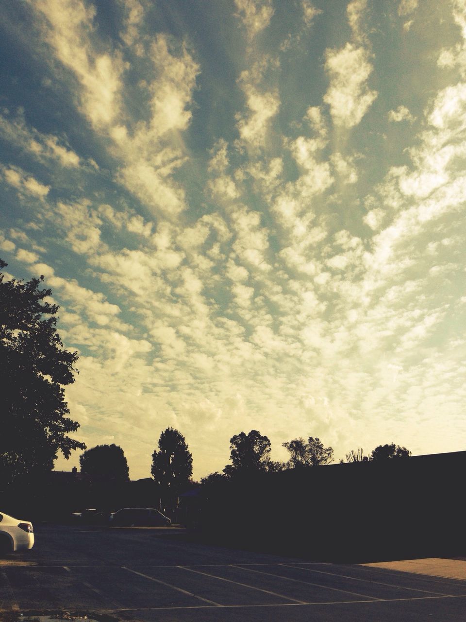 sky, tree, road, silhouette, transportation, cloud - sky, tranquility, tranquil scene, the way forward, street, nature, sunset, scenics, beauty in nature, landscape, cloud, outdoors, land vehicle, no people, cloudy