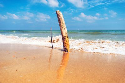 Wooden posts on beach against sky