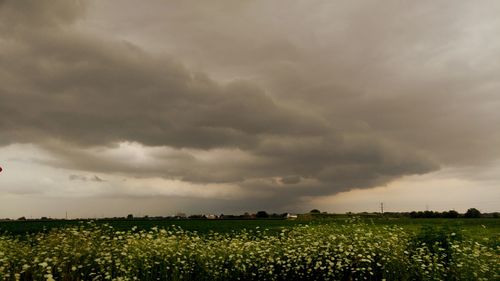 Scenic view of field against cloudy sky