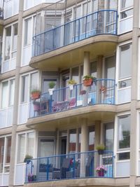 Apartment building with windows