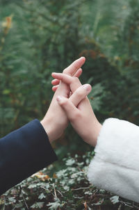 Close-up of two holding hands on  green plant background 