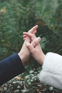 Close-up of woman hand on plant