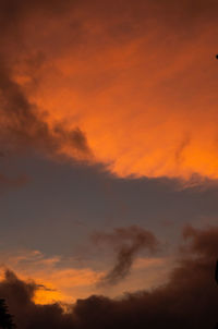 Low angle view of orange sky