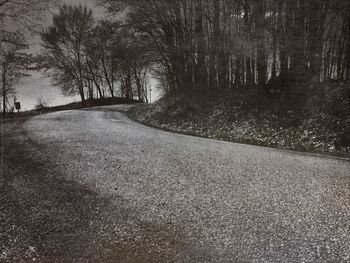Road passing through trees