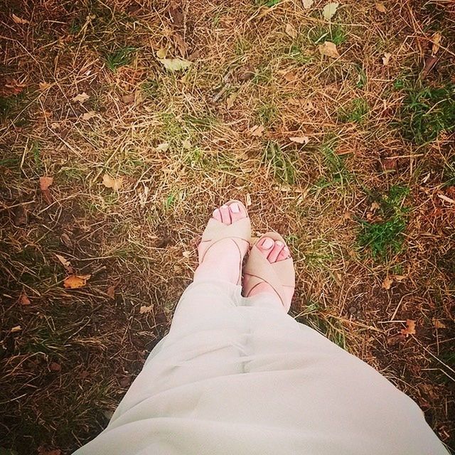 low section, person, personal perspective, human foot, grass, shoe, lifestyles, high angle view, standing, leisure activity, barefoot, field, relaxation, grassy, part of, footwear