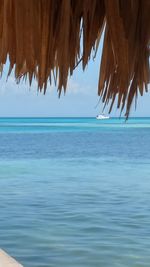 Close-up of blue hanging over sea against sky