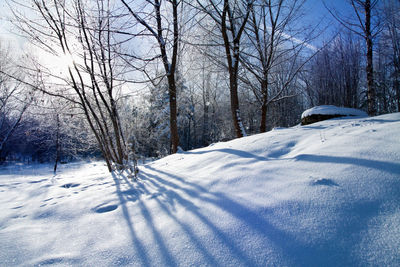 Snow covered bare trees against sky