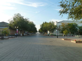 Footpath amidst trees and buildings against sky