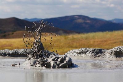 Boiling mud in thermal area