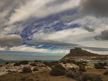 The view of vegetation covered sand dune  during morning at hout bay beach, cape town, south africa.