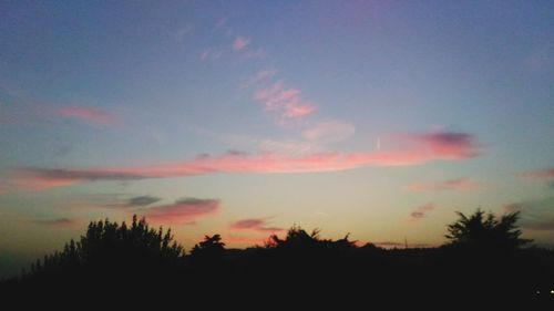 Silhouette trees against sky during sunset