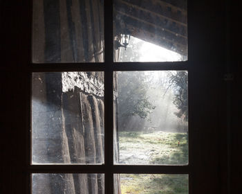 Close-up of trees seen through window during winter