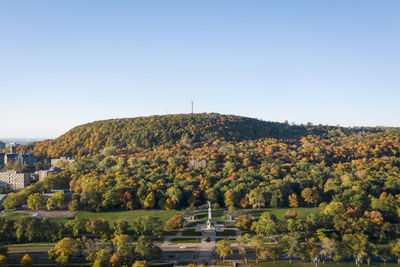 Scenic view of trees and buildings against clear sky