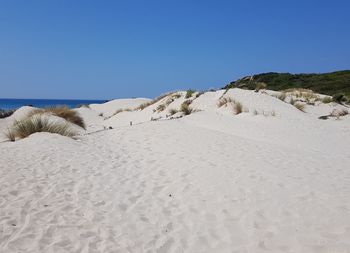 Scenic view of beach against clear blue sky