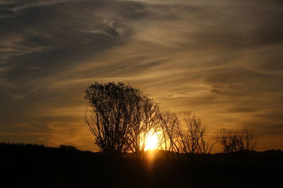 Silhouette trees against sky during sunset