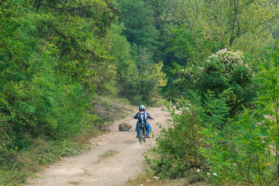 Rear view of man riding motorcycle on dirt road amidst trees