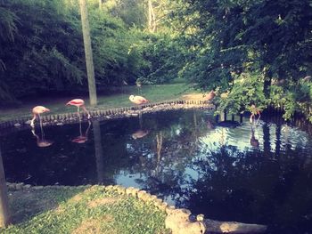 Footbridge in park