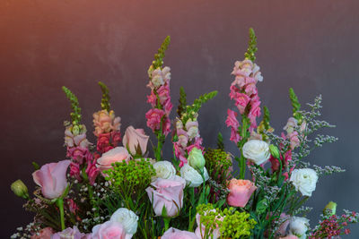 Close-up of pink flowering plants