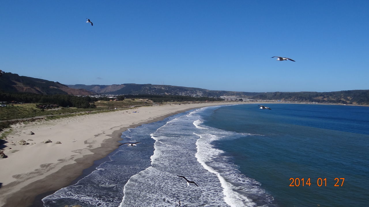 flying, sea, clear sky, beach, bird, blue, transportation, mid-air, water, copy space, scenics, nature, sand, tranquil scene, tranquility, beauty in nature, mountain, shore, animal themes, seagull