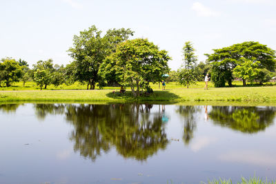 Scenic view of lake by trees against sky