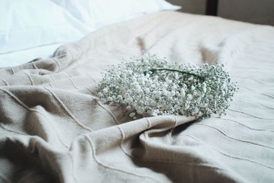 High angle view of person relaxing on bed at home