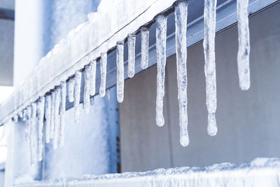 Close-up of icicles hanging on snow