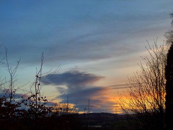 Silhouette trees against sky during sunset