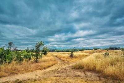 Scenic view of field against sky