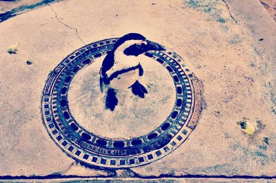 High angle view of manhole on footpath