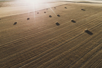 High angle view of hay bales on field