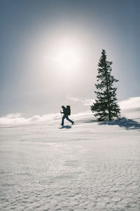 Norway, gjevsjoen, sun shining over silhouette of lone hiker trudging through snow