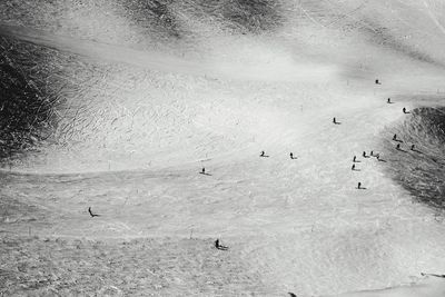 Aerial view of people on snow covered field