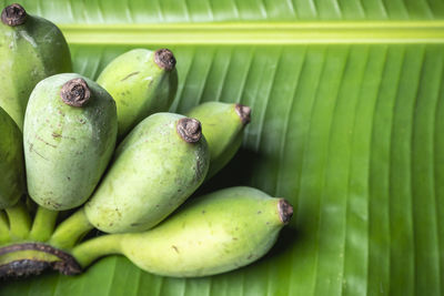 Thai cultivated banana raw on banana leaves