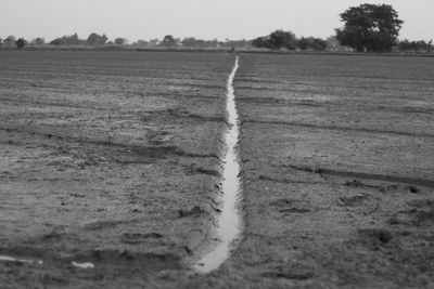 Close-up of field against sky